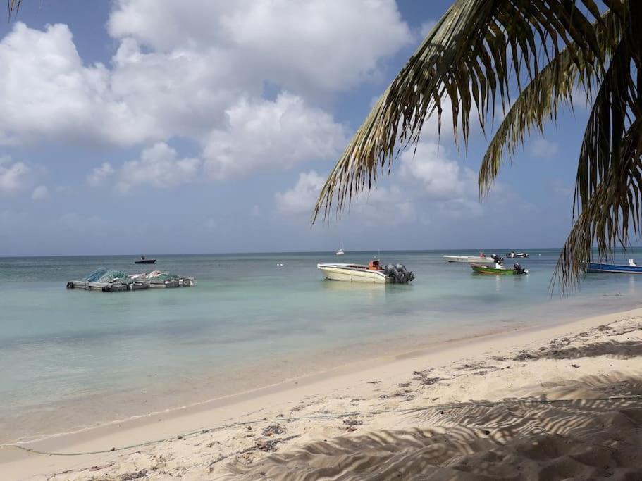 Au Bout Du Reve - Le Gosier Villa Le Gosier  Eksteriør bilde