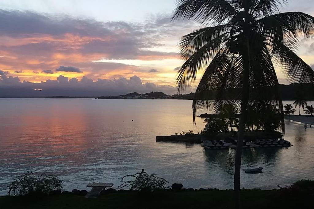 Au Bout Du Reve - Le Gosier Villa Le Gosier  Eksteriør bilde